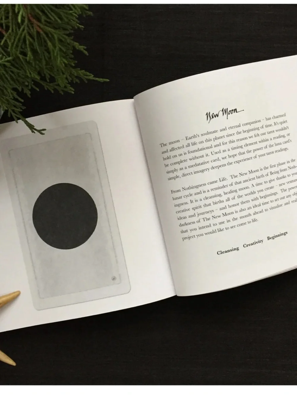 🟣 BOGO! Tarot: Notes from the Pagan Otherworlds Book